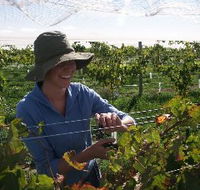 Kingsdale Wines - Northern Rivers Accommodation