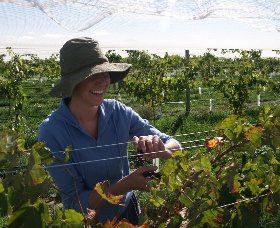 Kingsdale Wines - Northern Rivers Accommodation 0