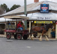 Bathurst Farm Experience - Northern Rivers Accommodation