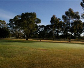 Winchelsea Golf Club - Northern Rivers Accommodation 0