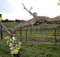 Nalbra Estate Wines - Northern Rivers Accommodation