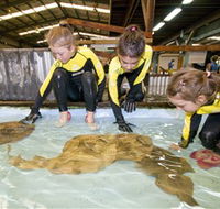 Australian Shark and Ray Centre - Northern Rivers Accommodation