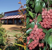Bushfood Factory and Cafe - Northern Rivers Accommodation
