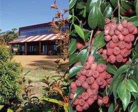 Bushfood Factory And Cafe - Northern Rivers Accommodation 0