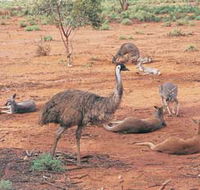 Hammond Park - Northern Rivers Accommodation