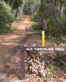 Nannup WA Northern Rivers Accommodation