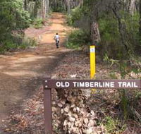 Old Timberline and Sidings Rail Trails - Northern Rivers Accommodation