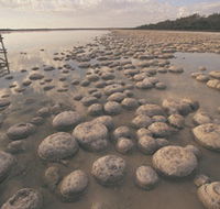 Lake Clifton Thrombolites - Northern Rivers Accommodation