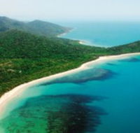 Jungle Tours and Trekking - Northern Rivers Accommodation