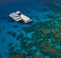 Great Adventures Reef and Green Island Cruises - Northern Rivers Accommodation