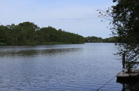 Daintree River Cruise Centre - Northern Rivers Accommodation 2