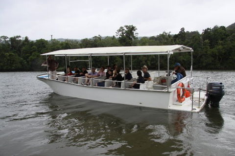 Daintree River Cruise Centre - Northern Rivers Accommodation 3