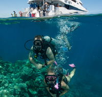 Down Under Cruise and Dive - Northern Rivers Accommodation