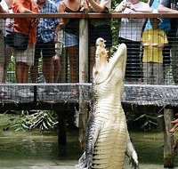Hartley's Crocodile Adventures - Northern Rivers Accommodation