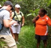 Ingan Tours - Spirit of the Rainforest Tour - Northern Rivers Accommodation