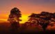 Ingan Tours - Spirit Of The Rainforest Tour - thumb 3