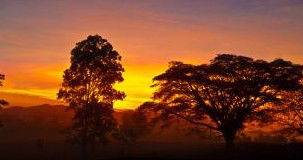 Ingan Tours - Spirit Of The Rainforest Tour - Northern Rivers Accommodation 3