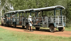 Whitsunday Crocodile Safari - Northern Rivers Accommodation 2