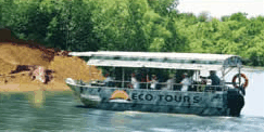 Whitsunday Crocodile Safari - Northern Rivers Accommodation 3