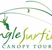 Jungle Surfing Canopy Tours and Jungle Adventures Nightwalks - Northern Rivers Accommodation