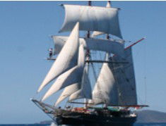 Adventure Catamarans Dive And Sail - Northern Rivers Accommodation 0