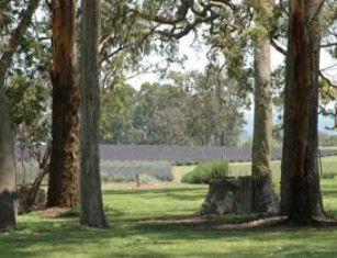 Glenlyon QLD Northern Rivers Accommodation