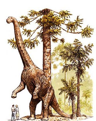 Australian Age Of Dinosaurs - Northern Rivers Accommodation 2
