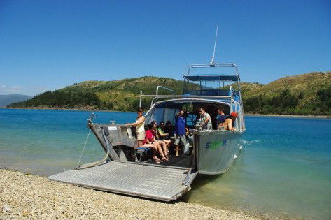 Scamper - Whitsunday Island Camping Connection - Northern Rivers Accommodation 0
