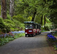 Araluen Botanic Park - Northern Rivers Accommodation