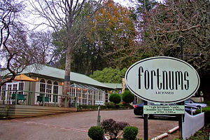 Ferny Creek VIC Northern Rivers Accommodation