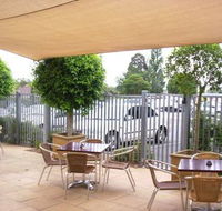 Coach  Horses - Northern Rivers Accommodation