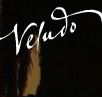 Veludo - Northern Rivers Accommodation