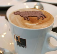 Brown Cow - Northern Rivers Accommodation
