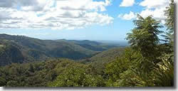 St Bernards Hotel - Northern Rivers Accommodation 1