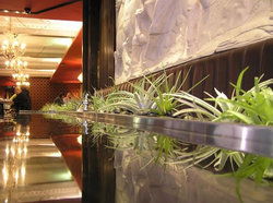 Terra Rossa - Northern Rivers Accommodation 2