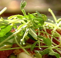 Wild Hearts Cafe Restaurant - Northern Rivers Accommodation