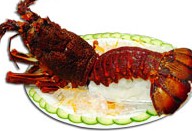 Suncrop Chinese Restaurant - Northern Rivers Accommodation 0