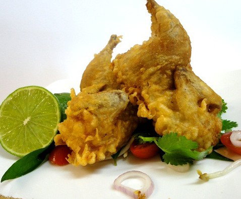 Sago Restaurants - Northern Rivers Accommodation 4