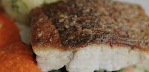 Portabella Licensed Restauraunt - Northern Rivers Accommodation 1