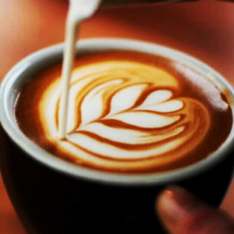 Two Buoys - Northern Rivers Accommodation 6