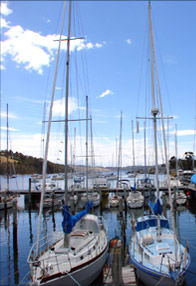 Oyster Cove Inn - Northern Rivers Accommodation 0
