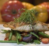 Queens Arms Hotel - Northern Rivers Accommodation