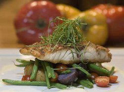 Queens Arms Hotel - Northern Rivers Accommodation 0