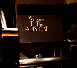 Paris Cat - Northern Rivers Accommodation 1