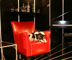 Old Fitzroy Hotel - Northern Rivers Accommodation 2