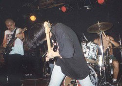 The Tote - Northern Rivers Accommodation 3