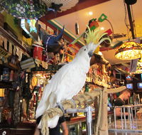 A Friend In Hand - Northern Rivers Accommodation