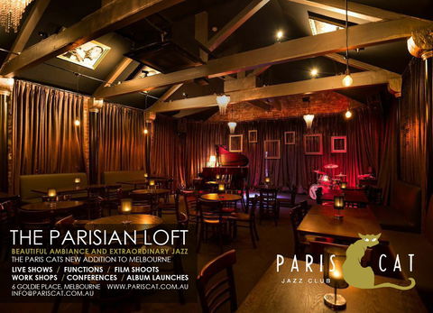 Paris Cat - Northern Rivers Accommodation 4