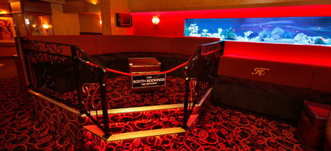 Hollywood Showgirls - Northern Rivers Accommodation 2