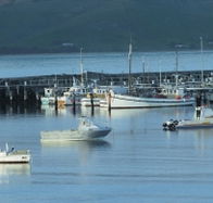 The Apollo Bay Hotel - Northern Rivers Accommodation